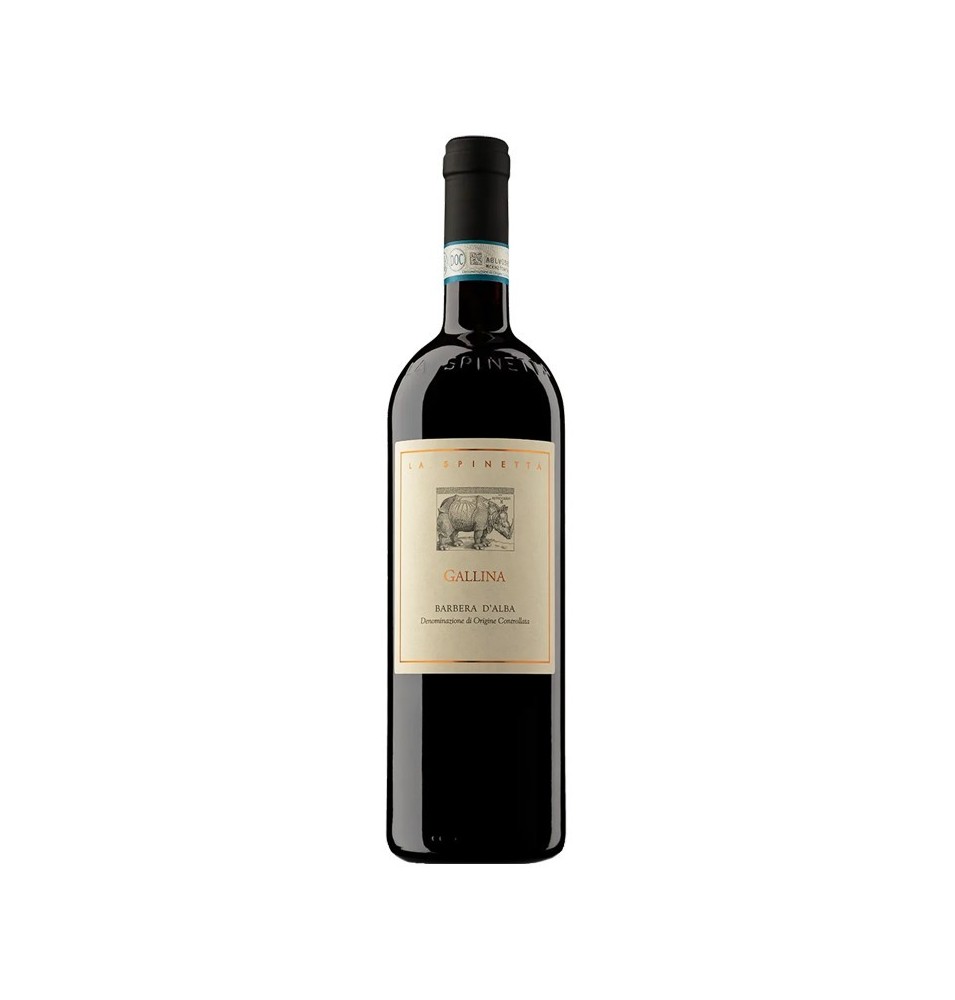 Barbera d'Alba Gallina DOC